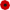 image of a poppy