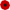 image of a poppy